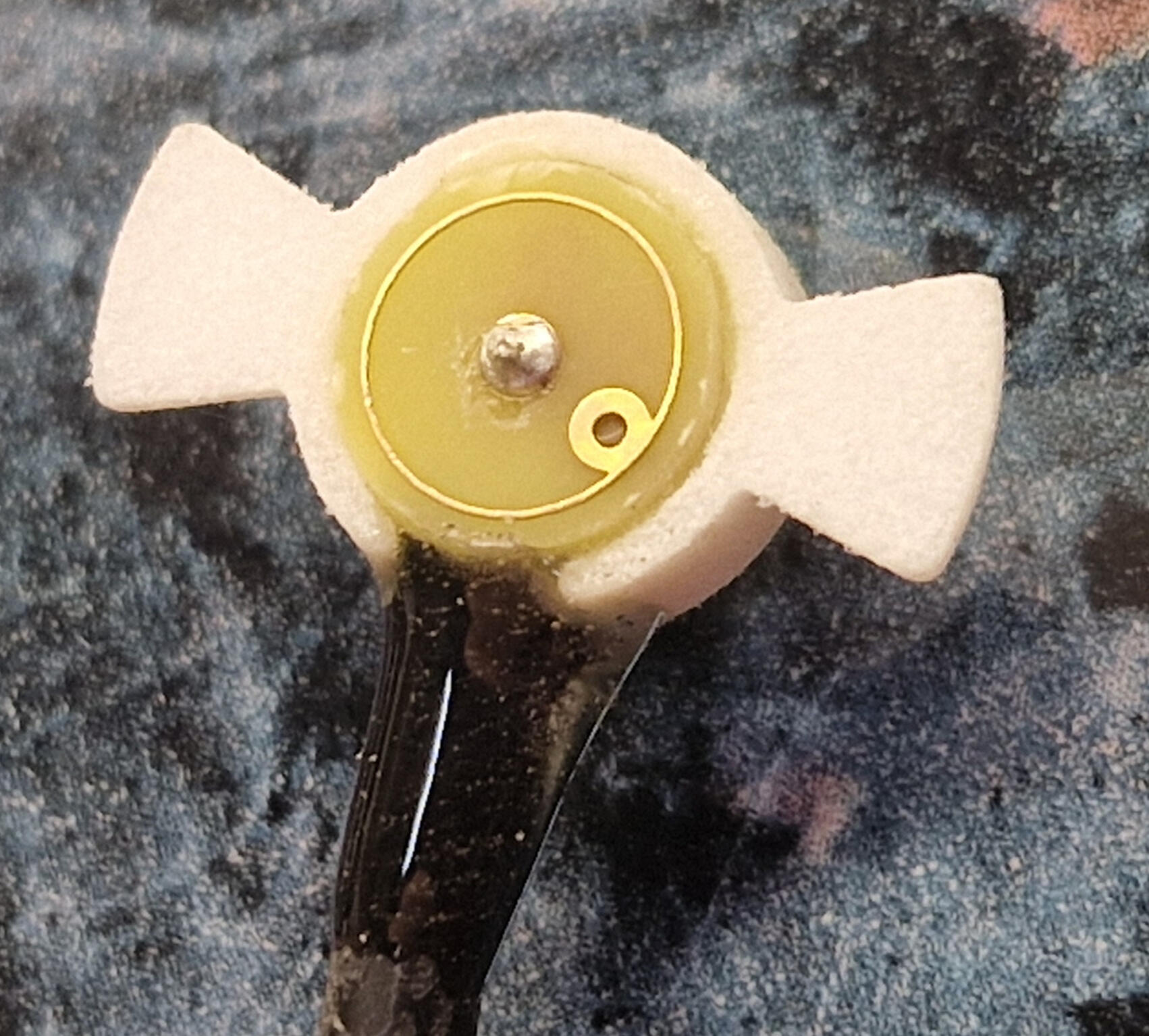 Wasp Wing Electrode